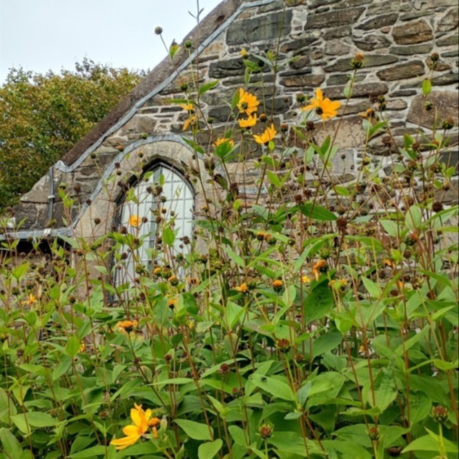 flowers outside the church
