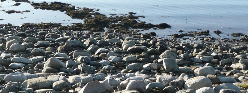 pebbles